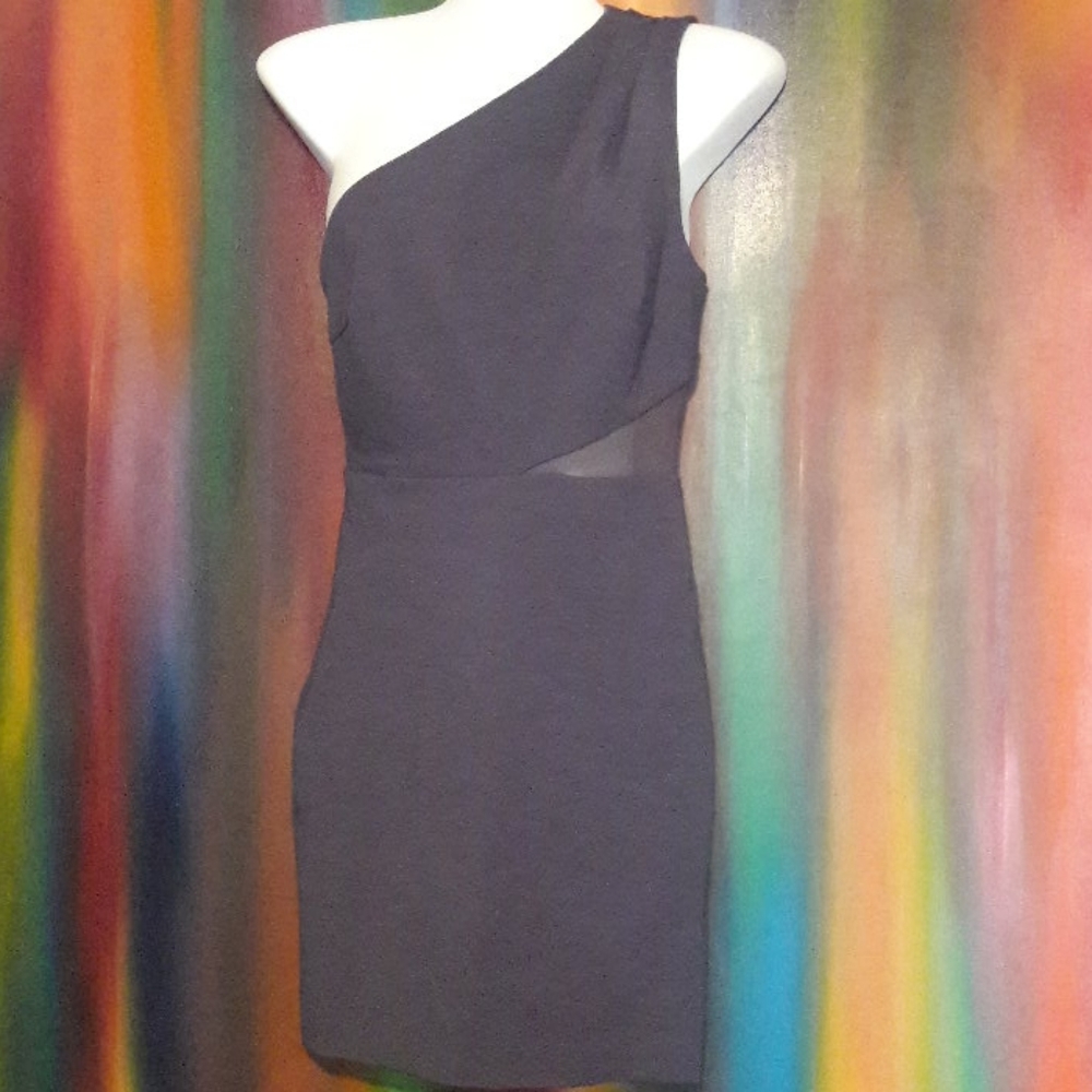 Halton Heritage Dress